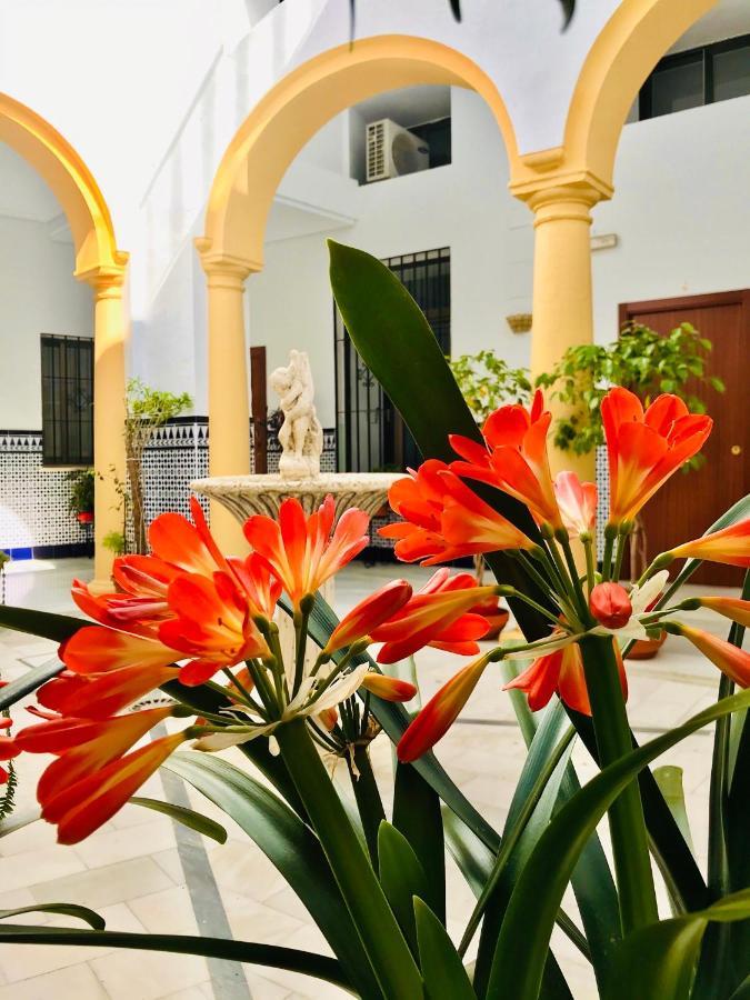 Fabuloso Loft En Centro Historico De Cordoba. Tendillas-Mezquita-Catedral. Apartment Екстериор снимка