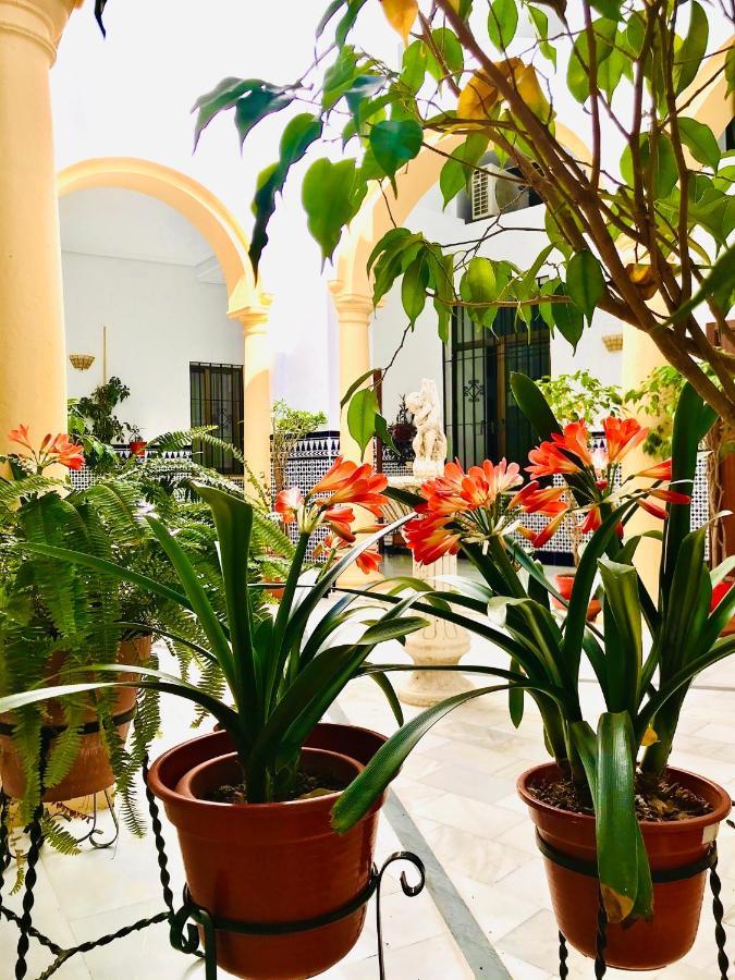 Fabuloso Loft En Centro Historico De Cordoba. Tendillas-Mezquita-Catedral. Apartment Екстериор снимка